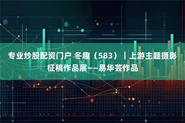 专业炒股配资门户 冬趣（583）｜上游主题摄影征稿作品展——易华芸作品