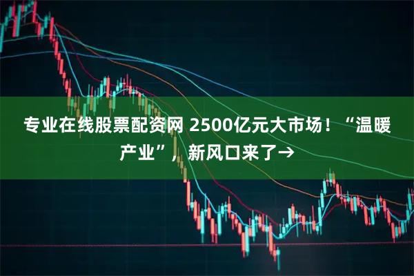 专业在线股票配资网 2500亿元大市场！“温暖产业”，新风口来了→